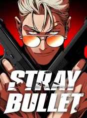 Stray-Bullet
